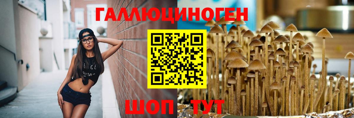 Галлюциногенные грибы ЛСД Новошахтинск