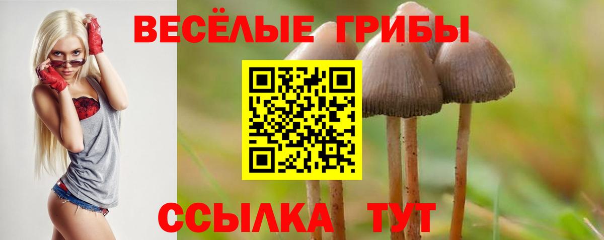 Новошахтинск  Псилоцибиновые грибы ЛСД  Псилоцибиновые грибы MAGIC MUSHROOMS  Вход с VPN 